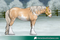 Horse Color:White Spotted Gold Cream Champagne Frame 