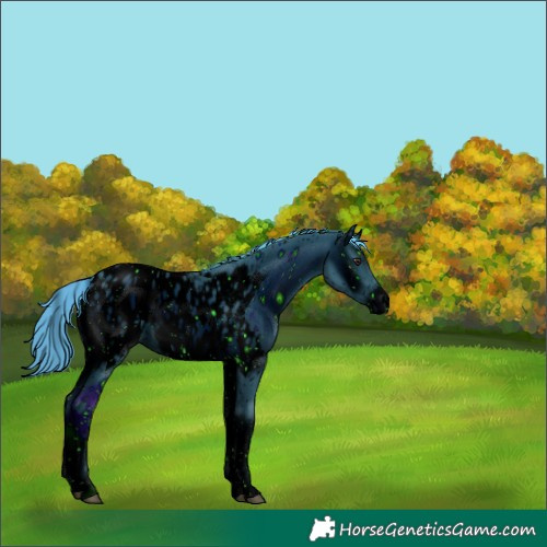 Horse Color:ERROR: UNKNOWN ANOMALY