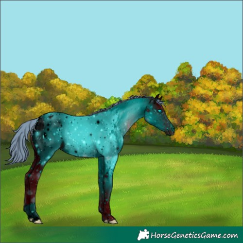 Horse Color:ERROR: UNKNOWN ANOMALY