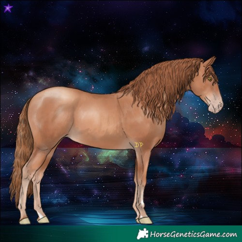 Horse Color:Gold Champagne 