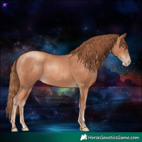 Horse Color:Gold Champagne 