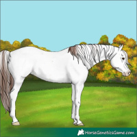 Horse Color:Amber Champagne Onyx Fewspot 