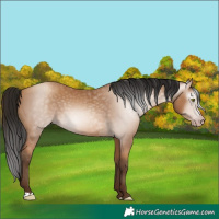 Horse Color:Gray Amber Champagne 