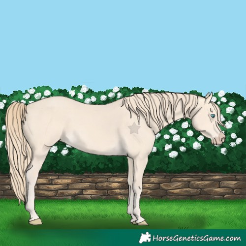 Horse Color:Perlino 