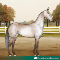 Horse Color:Gray Amber Champagne 