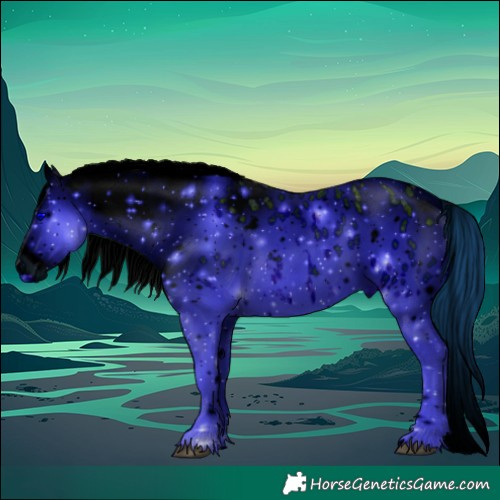 Horse Color:ERROR: UNKNOWN ANOMALY