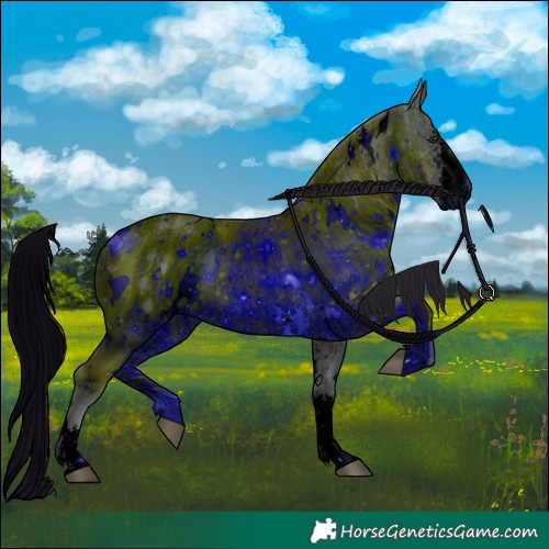 Horse Color:ERROR: UNKNOWN ANOMALY