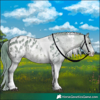 Horse Color:Watercolor Bay Ice Sabino Tobiano Blanket