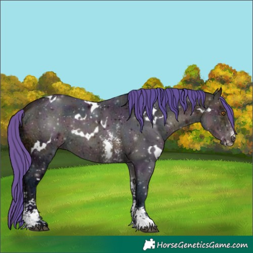 Horse Color:Watercolor White Spotted Midnight Buckskin Ice Sabino 