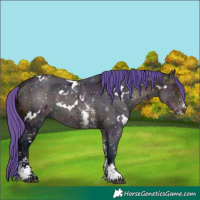 Horse Color:Watercolor White Spotted Midnight Buckskin Ice Sabino 