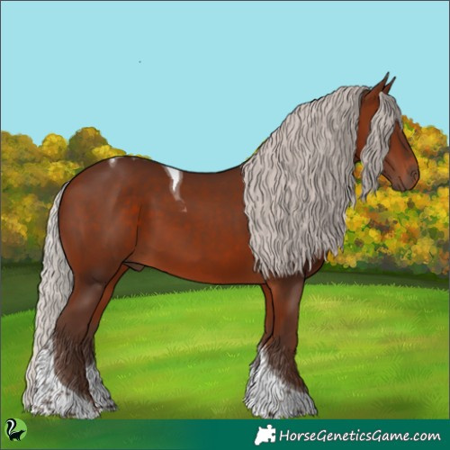 Horse Color:Silver Bay Tobiano 