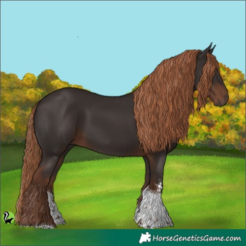 Horse Color:Liver Chestnut Sabino Tobiano 