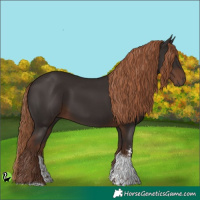 Horse Color:Liver Chestnut Sabino Tobiano 