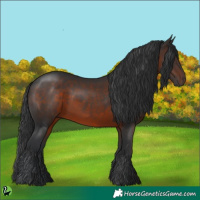 Horse Color:Brown 