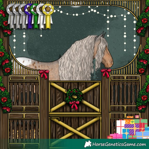 Horse Color:White Spotted Chocolate Palomino Appaloosa 