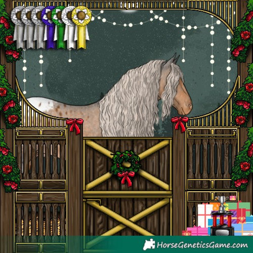 Horse Color:White Spotted Chocolate Palomino Appaloosa 