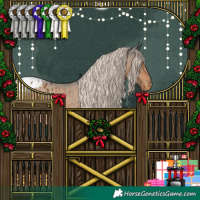 Horse Color:White Spotted Chocolate Palomino Appaloosa