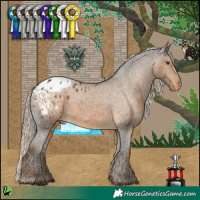 Horse Color:White Spotted Chocolate Palomino Appaloosa 