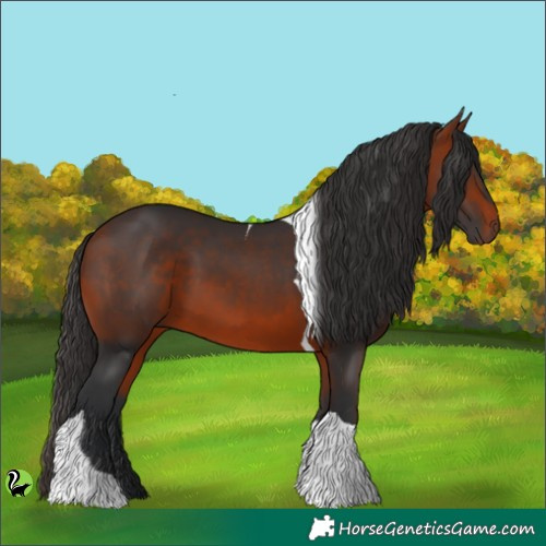 Horse Color:Brown Tobiano 