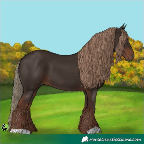Horse Color:Liver Chestnut 