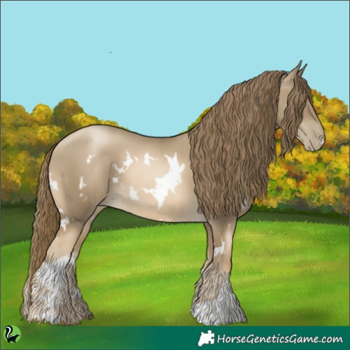 Horse Color:White Spotted Smoky Black Pearl 