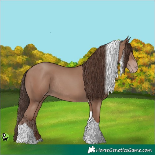 Horse Color:Classic Champagne Tobiano Rabicano 