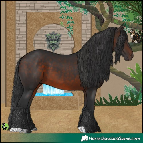 Horse Color:Brown 