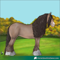 Horse Color:Sable Champagne 