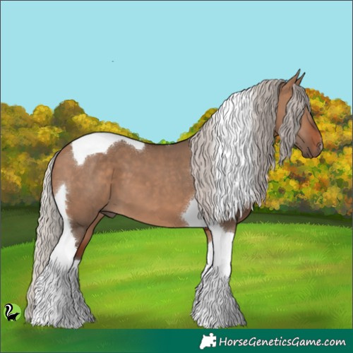 Horse Color:Silver Brown Dun Tobiano 