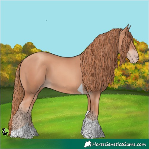 Horse Color:Gold Champagne Tobiano 