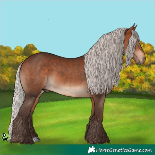 Horse Color:Silver Bay 
