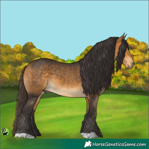Horse Color:Buckskin 