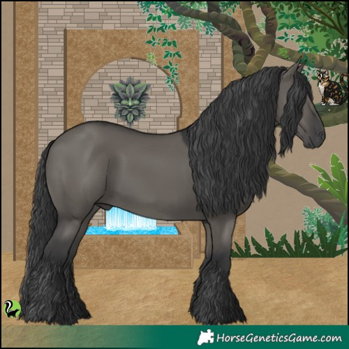 Horse Color:Grullo 