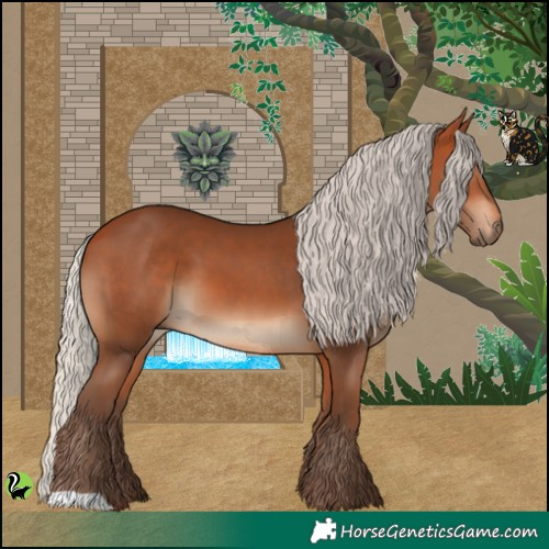 Horse Color:Silver Bay 