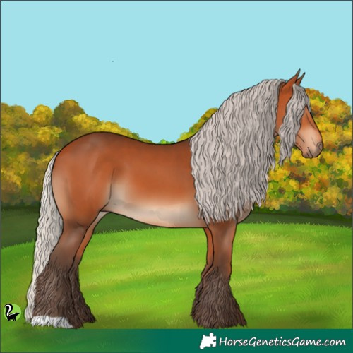 Horse Color:Silver Bay 