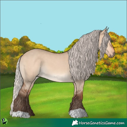 Horse Color:Silver Brown Dun