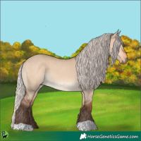 Horse Color:Silver Brown Dun 