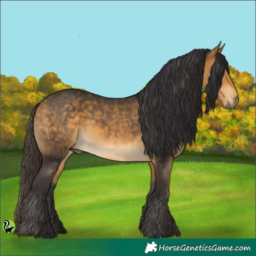 Horse Color:Buckskin 