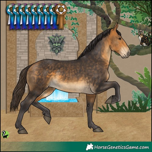 Horse Color:Buckskin 