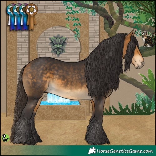 Horse Color:Buckskin 