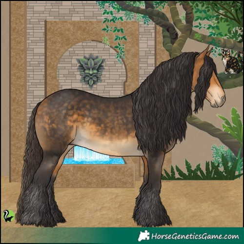 Horse Color:Buckskin 
