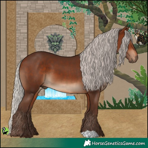 Horse Color:Silver Bay 