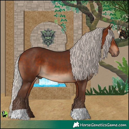 Horse Color:Silver Bay 