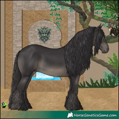 Horse Color:Smoky Black 