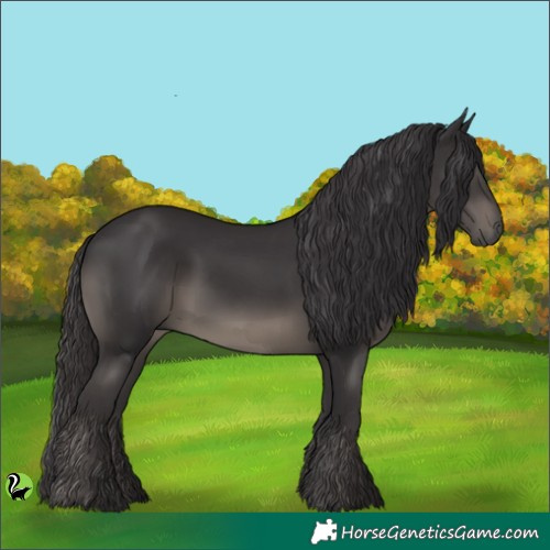 Horse Color:Smoky Black 