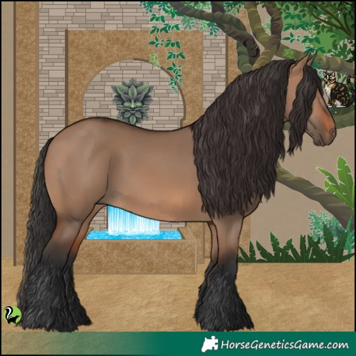 Horse Color:Brown Dun 