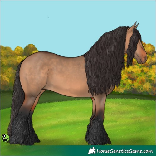 Horse Color:Brown Dun 