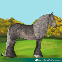 Horse Color:Silver Smoky Black 