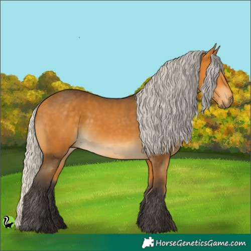 Horse Color:Silver Buckskin 