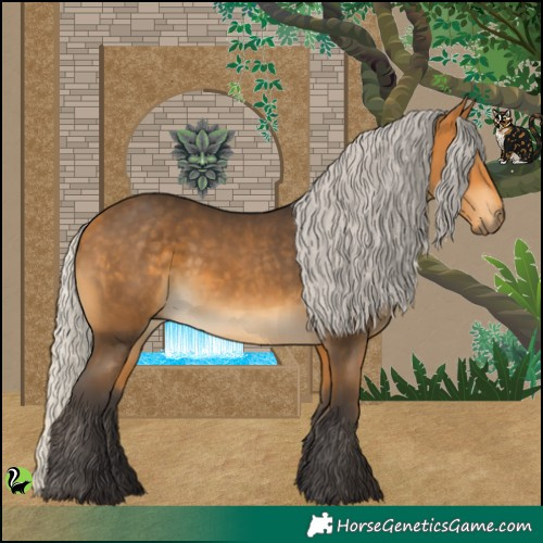 Horse Color:Silver Buckskin 